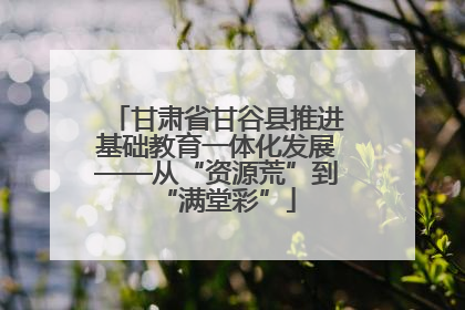 甘肃省甘谷县推进基础教育一体化发展——从“资源荒”到“满堂彩”