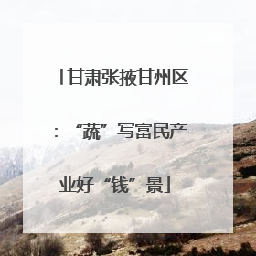 甘肃张掖甘州区：“蔬”写富民产业好“钱”景