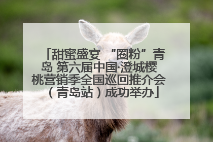甜蜜盛宴 “圈粉”青岛 第六届中国·澄城樱桃营销季全国巡回推介会（青岛站）成功举办