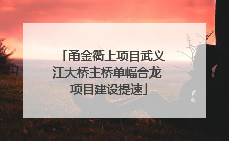 甬金衢上项目武义江大桥主桥单幅合龙 项目建设提速