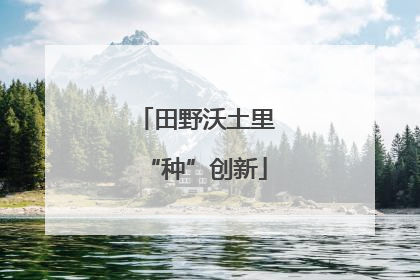 田野沃土里“种”创新
