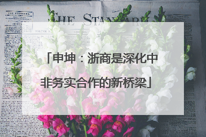 申坤：浙商是深化中非务实合作的新桥梁