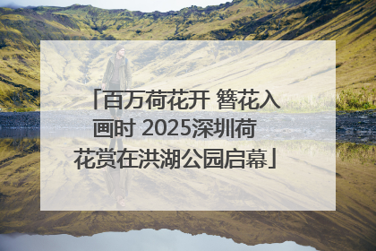 百万荷花开 簪花入画时 2025深圳荷花赏在洪湖公园启幕