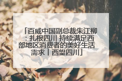 百威中国副总裁朱江柳：扎根四川 持续满足西部地区消费者的美好生活需求丨西望四川
