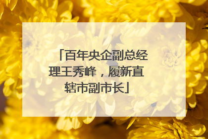 百年央企副总经理王秀峰，履新直辖市副市长