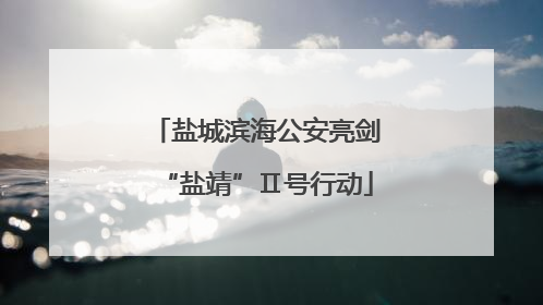 盐城滨海公安亮剑“盐靖”Ⅱ号行动