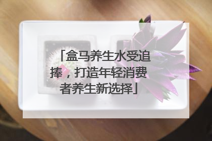盒马养生水受追捧，打造年轻消费者养生新选择