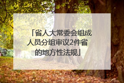 省人大常委会组成人员分组审议2件省的地方性法规