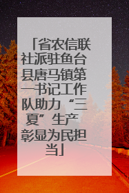 省农信联社派驻鱼台县唐马镇第一书记工作队助力“三夏”生产 彰显为民担当
