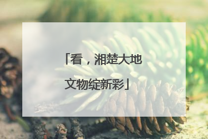 看，湘楚大地文物绽新彩