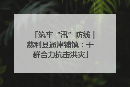 筑牢“汛”防线｜慈利县通津铺镇：干群合力抗击洪灾