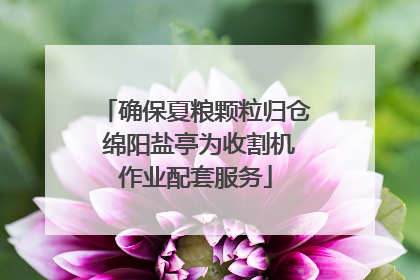 确保夏粮颗粒归仓 绵阳盐亭为收割机作业配套服务