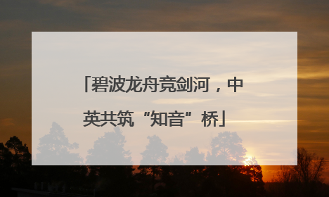 碧波龙舟竞剑河，中英共筑“知音”桥