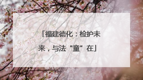 福建德化：检护未来，与法“童”在