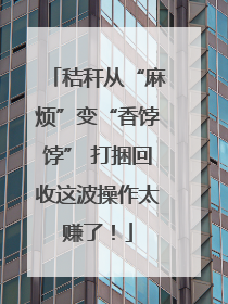 秸秆从“麻烦”变“香饽饽” 打捆回收这波操作太赚了！