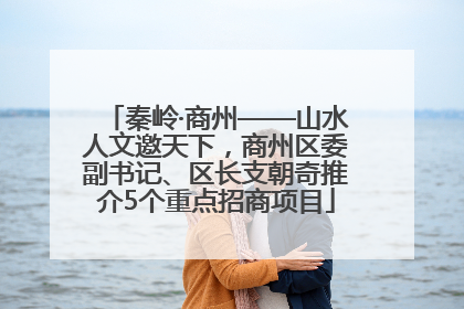 秦岭·商州——山水人文邀天下，商州区委副书记、区长支朝奇推介5个重点招商项目