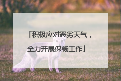 积极应对恶劣天气，全力开展保畅工作