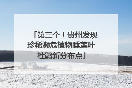第三个！贵州发现珍稀濒危植物睡莲叶杜鹃新分布点