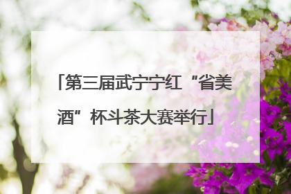 第三届武宁宁红“省美酒”杯斗茶大赛举行