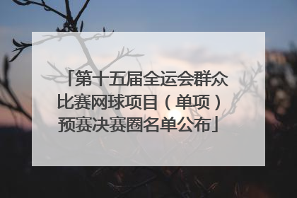 第十五届全运会群众比赛网球项目（单项）预赛决赛圈名单公布