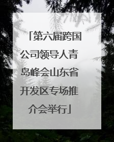 第六届跨国公司领导人青岛峰会山东省开发区专场推介会举行