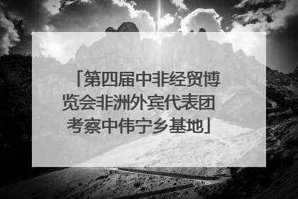 第四届中非经贸博览会非洲外宾代表团考察中伟宁乡基地