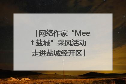 网络作家“Meet 盐城”采风活动走进盐城经开区