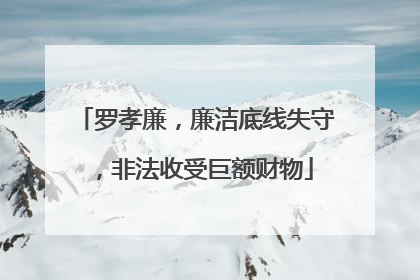 罗孝廉，廉洁底线失守，非法收受巨额财物