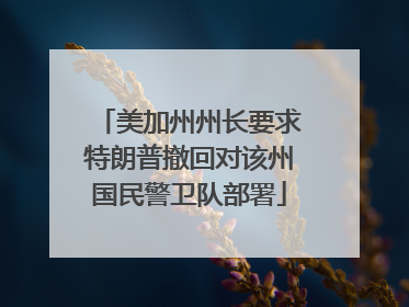 美加州州长要求特朗普撤回对该州国民警卫队部署
