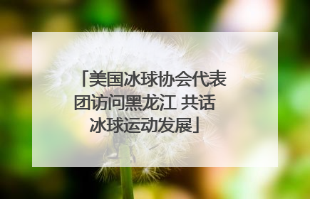 美国冰球协会代表团访问黑龙江 共话冰球运动发展