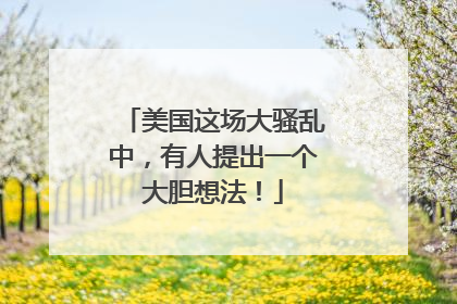 美国这场大骚乱中，有人提出一个大胆想法！