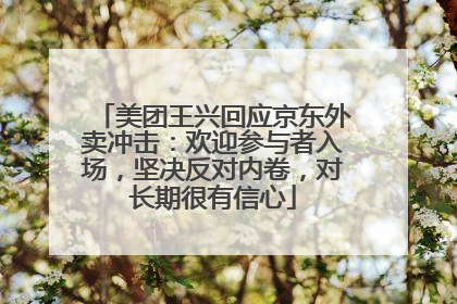 美团王兴回应京东外卖冲击：欢迎参与者入场，坚决反对内卷，对长期很有信心