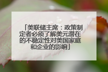 美联储主席：政策制定者必须了解美元潜在的不稳定性对美国家庭和企业的影响