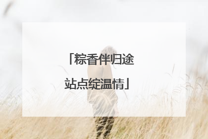 粽香伴归途 站点绽温情