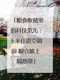 粮食收储里的科技范儿：玉米住进空调房 粮仓披上隔热罩