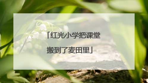 红光小学把课堂搬到了麦田里