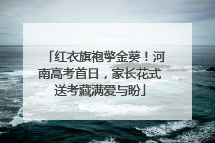 红衣旗袍擎金葵！河南高考首日，家长花式送考藏满爱与盼