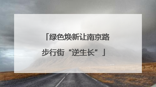 绿色焕新让南京路步行街“逆生长”