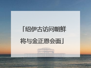 绍伊古访问朝鲜 将与金正恩会面