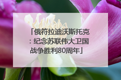 俄符拉迪沃斯托克：纪念苏联伟大卫国战争胜利80周年