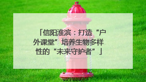 信阳淮滨：打造“户外课堂”培养生物多样性的“未来守护者”