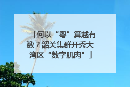 何以“粤”算越有数？韶关集群开秀大湾区“数字肌肉”