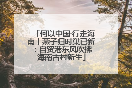 何以中国·行走海南丨燕子归时巢已新：自贸港东风吹拂 海南古村新生