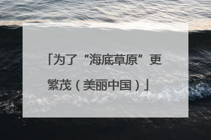 为了“海底草原”更繁茂（美丽中国）