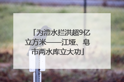 为澧水拦洪超9亿立方米——江垭、皂市两水库立大功