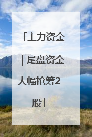 主力资金｜尾盘资金大幅抢筹2股