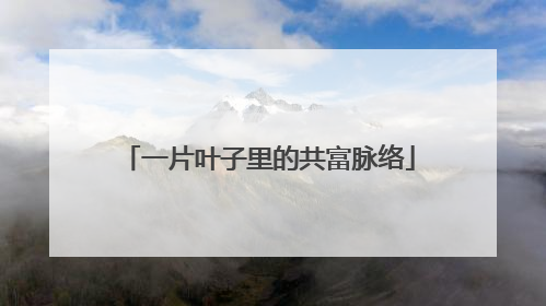 一片叶子里的共富脉络