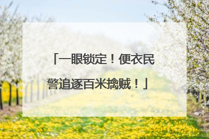 一眼锁定！便衣民警追逐百米擒贼！