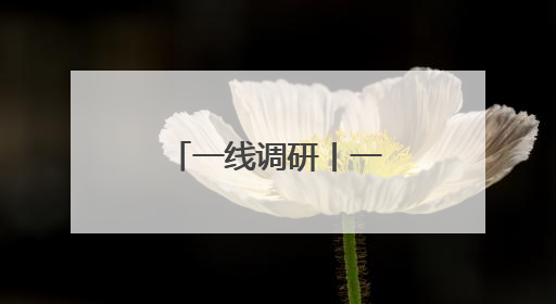 一线调研丨一个小微企业的“冠军”之路