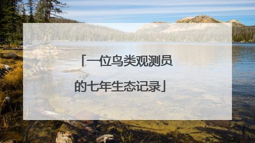 一位鸟类观测员的七年生态记录